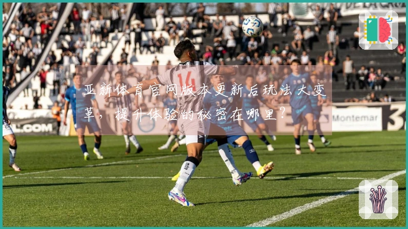 亚新体育官网版本更新后玩法大变革，提升体验的秘密在哪里？