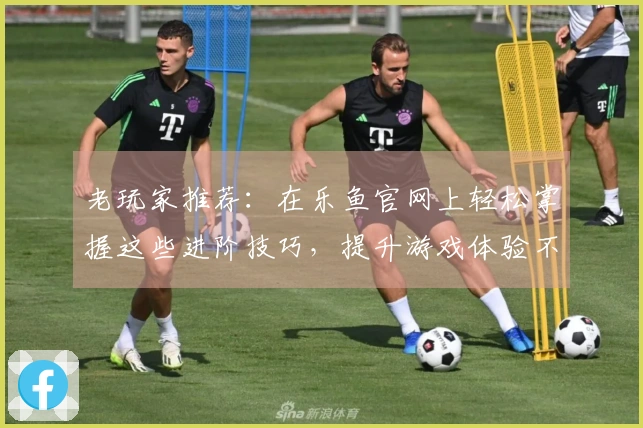 老玩家推荐：在乐鱼官网上轻松掌握这些进阶技巧，提升游戏体验不再难